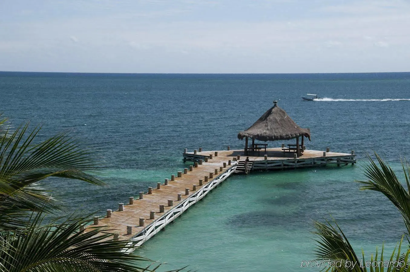 Desire Riviera Maya Pearl Resort All Inclusive - Couples Only Puerto Morelos